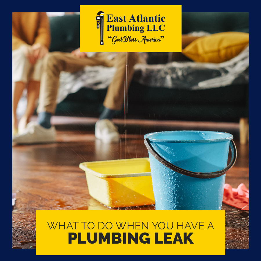 Don’t Stress! Here’s What To Do When You Have a Plumbing Leak